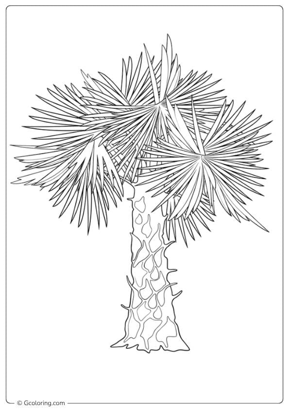 Adventure Time Palm Tree Coloring Pages
