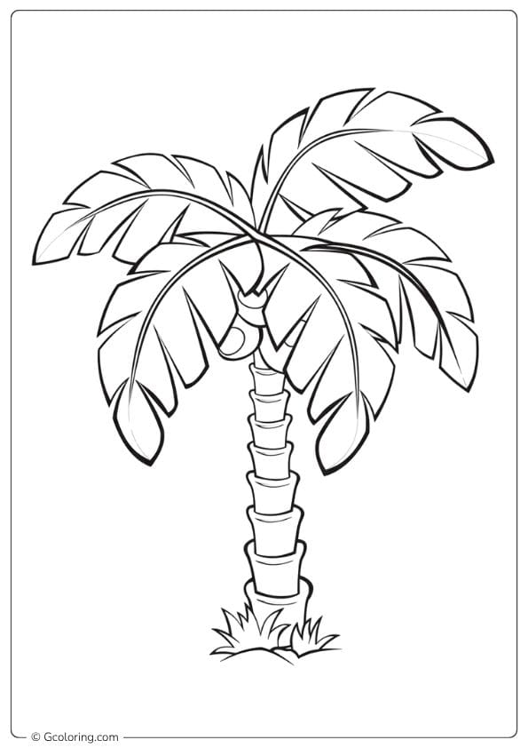 Beach Bliss Palm Tree Coloring Pages