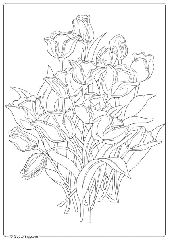 Charming Inspiration Tulip Coloring Pages
