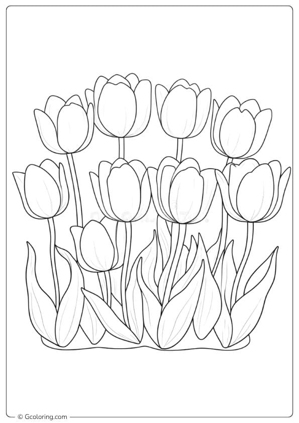 Cheerful Blooms Tulip Coloring Pages