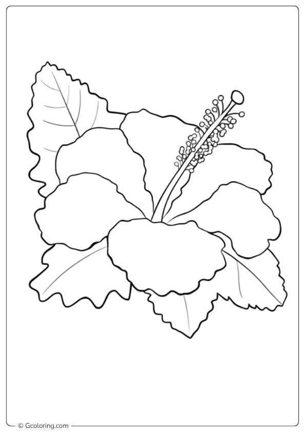 Cheerful Tropics Hibiscus Flower Coloring Page