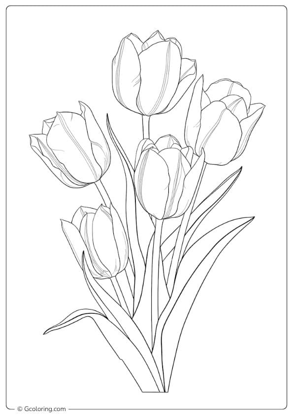 Color Adventure Tulip Coloring Pages