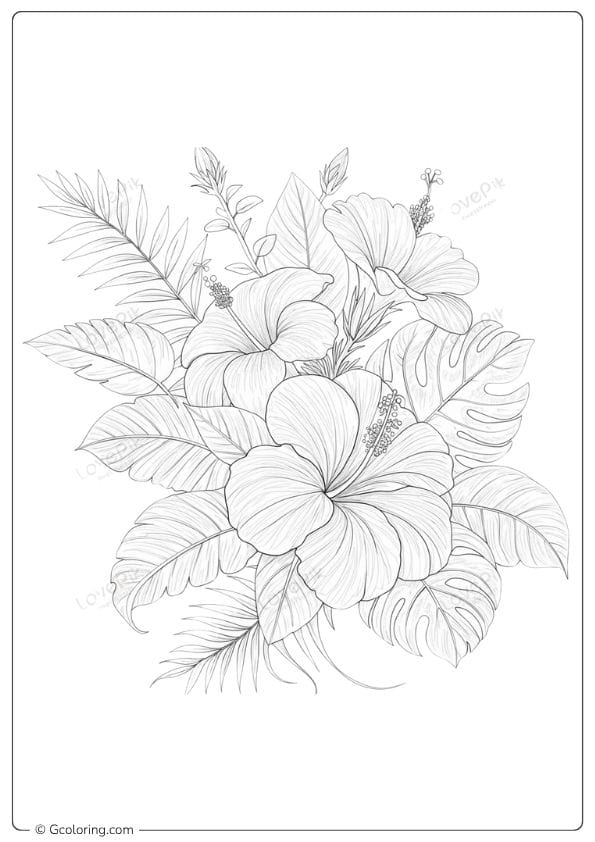Color Inspiration Hibiscus Flower Coloring Page