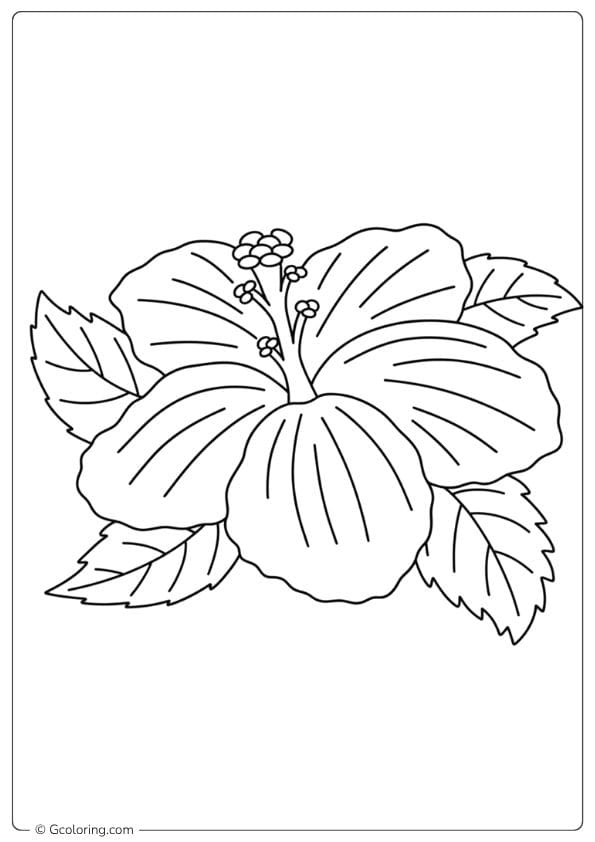 Color Palette Hibiscus Flower Coloring Page