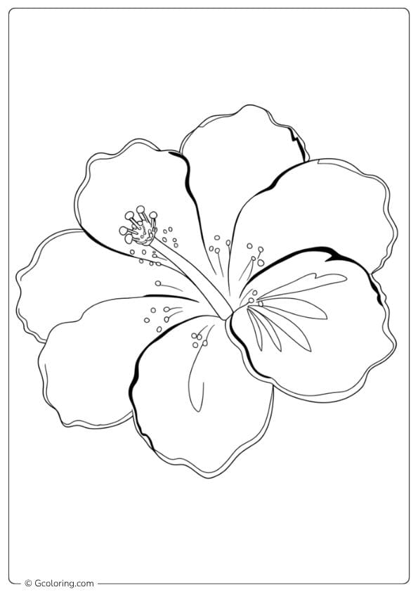 Fresh Start Hibiscus Flower Coloring Page