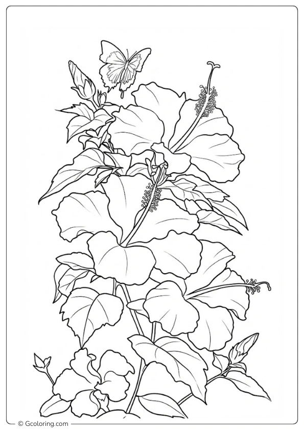 Hibiscus Flower Coloring Pages (3)