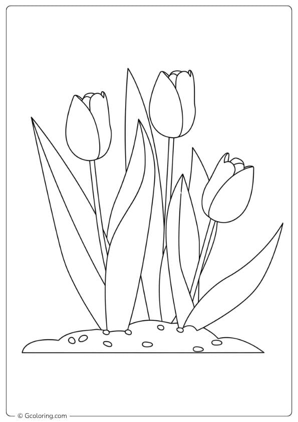Joyful Bloom Tulip Coloring Pages