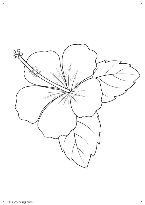 Morning Dew Hibiscus Flower Coloring Page