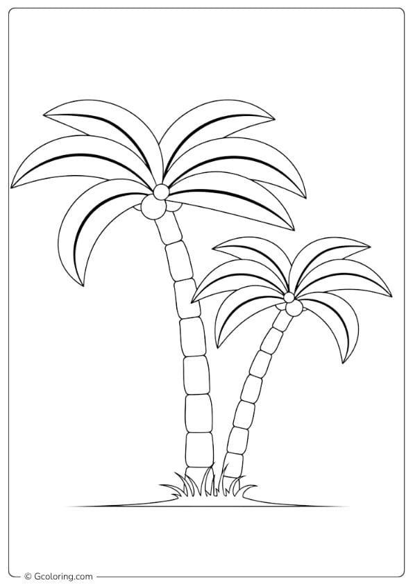 Paradise Palms Coloring Pages