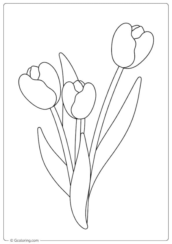 Petal Perfection Tulip Coloring Pages