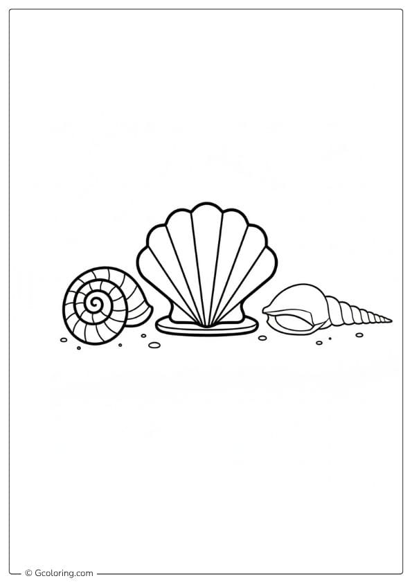 Seashell Coloring Pages Clam Shell