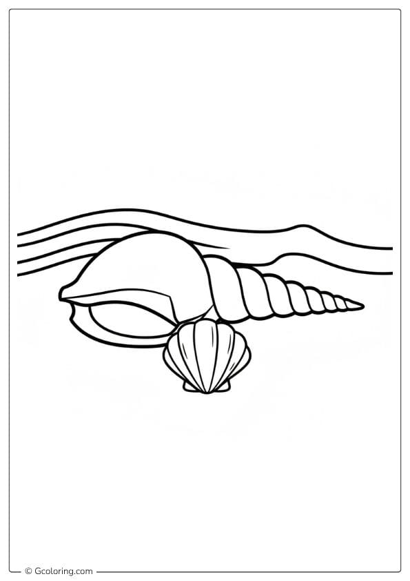 Seashell Coloring Pages Conch Shell