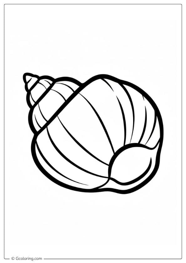 Seashell Coloring Pages Cute Clam