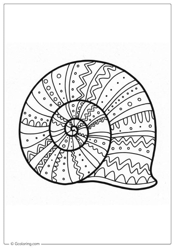 Seashell Coloring Pages Cute Spiral