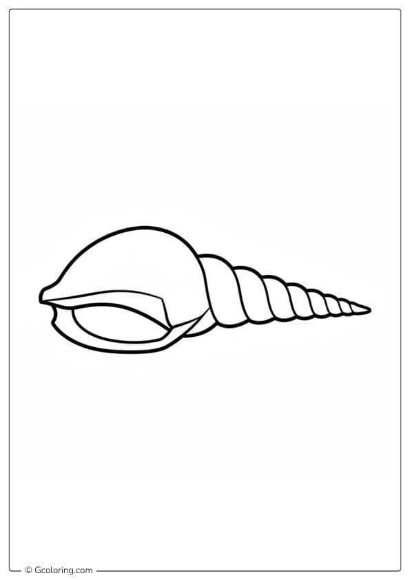 Seashell Coloring Pages Ocean Shell