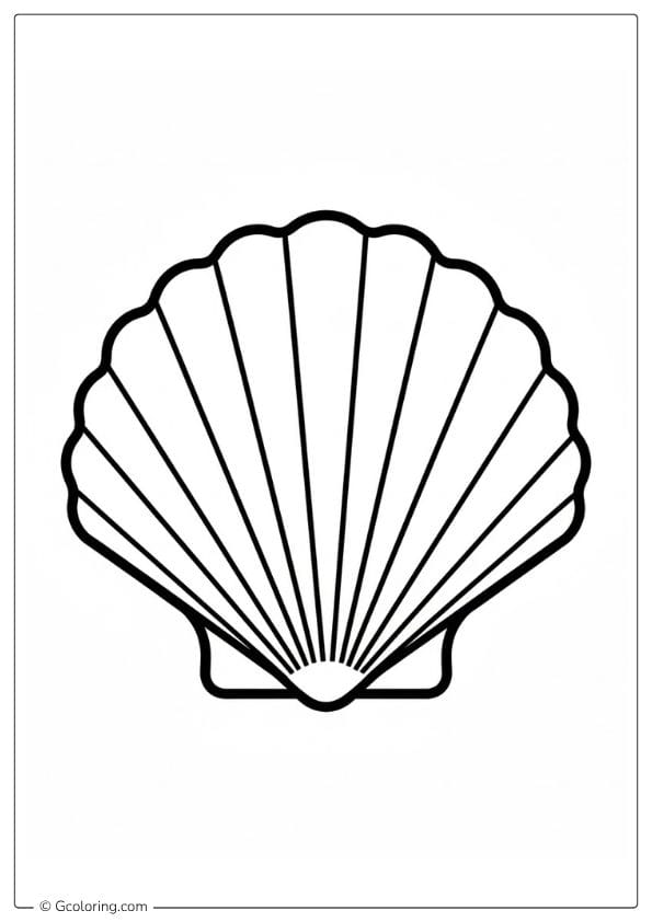 Seashell Coloring Pages Scallop Shell