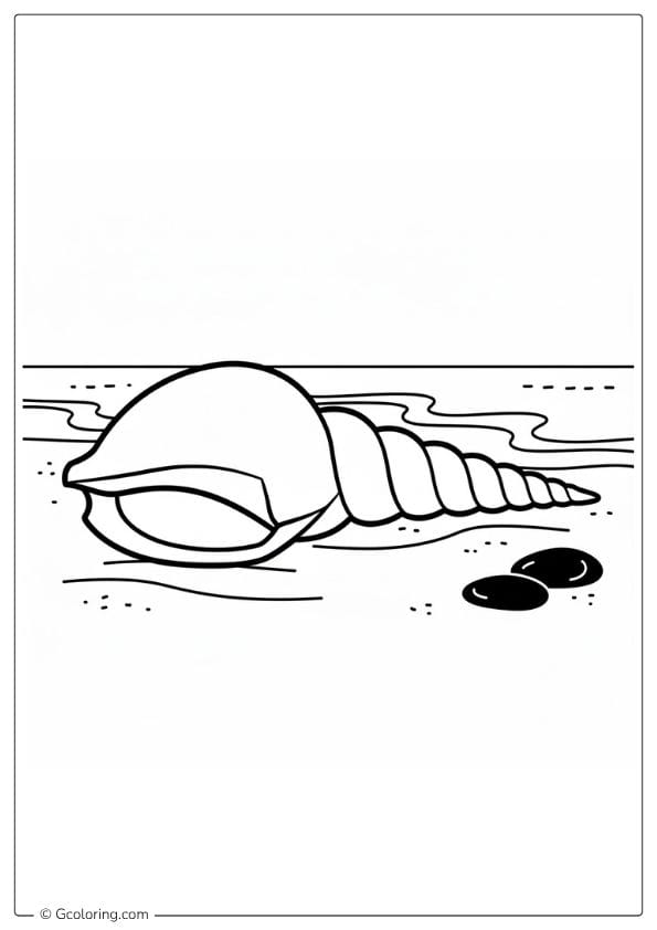 Seashell Coloring Pages Starfish Mix