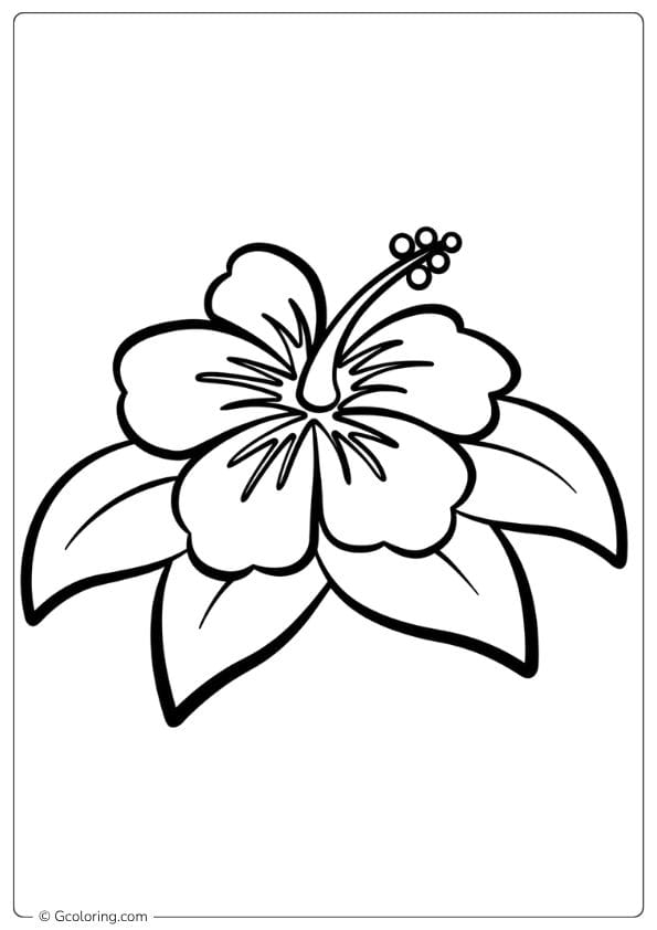 Sunshine Hibiscus Flower Coloring Page