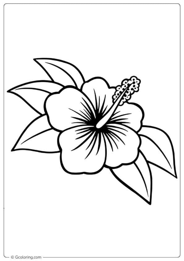 Tropical Bloom Hibiscus Flower Coloring Page