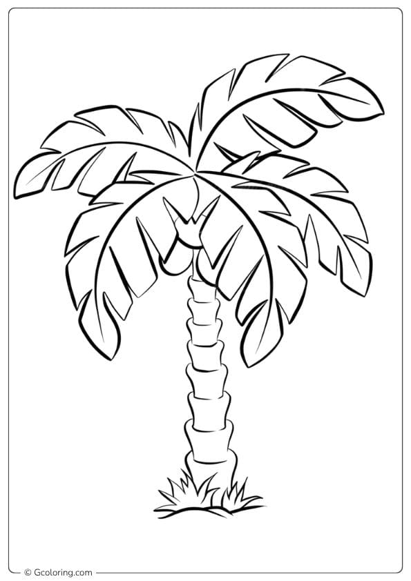 Tropical Journey Palm Tree Coloring Pages
