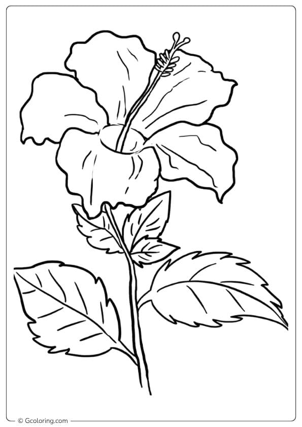Zen Bloom Hibiscus Flower Coloring Page