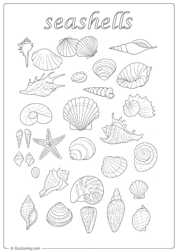 free seashell coloring pages printable