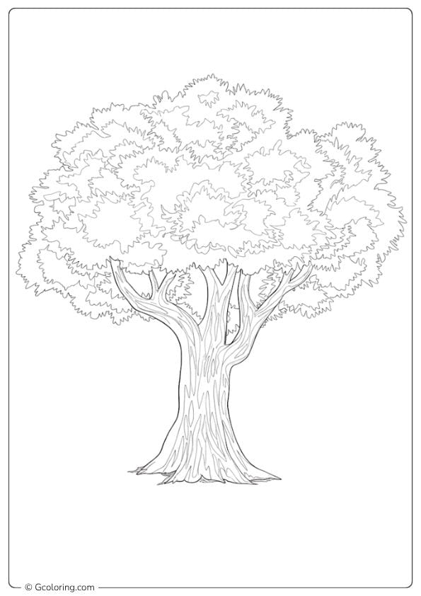 nature coloring pages large green tree