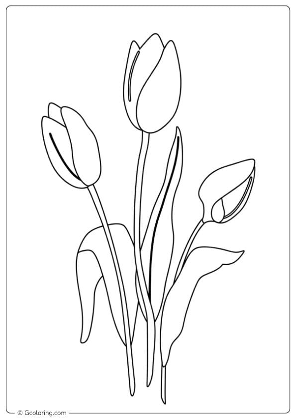tulip coloring pages bunch of tulips
