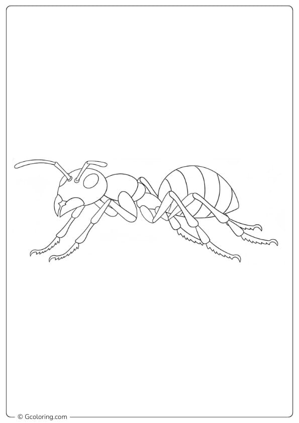 Ant coloring page ant walking side view