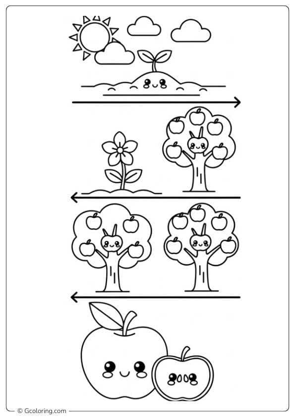 Apple coloring page showing apple life cycle for kids