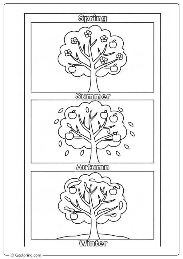 Apple coloring page with apple tree in four seasons