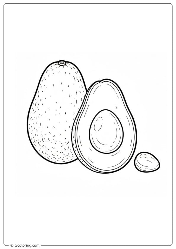 Avocado coloring page realistic fruit illustration