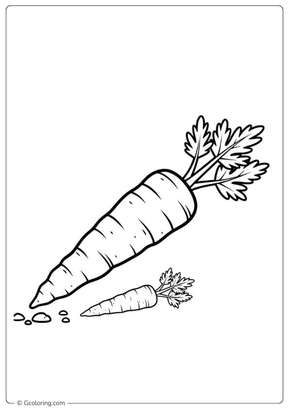 Carrot Coloring Page Realistic Illustration