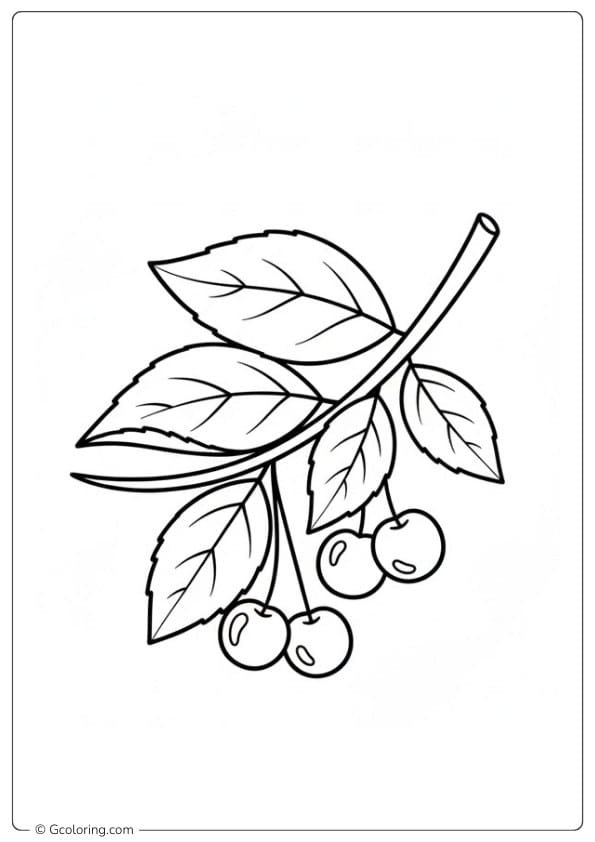 Cherry coloring pages of cherry branch with leaves
