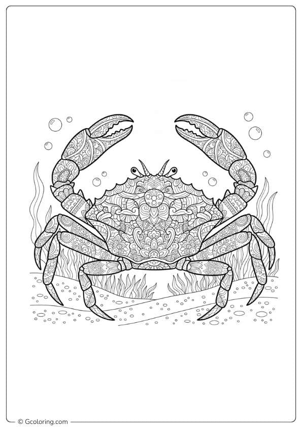 Detailed crab coloring pages for adults