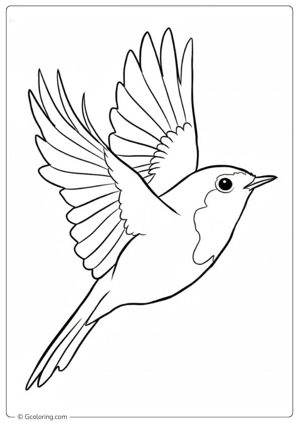 Flying robin coloring pages with bold outlines