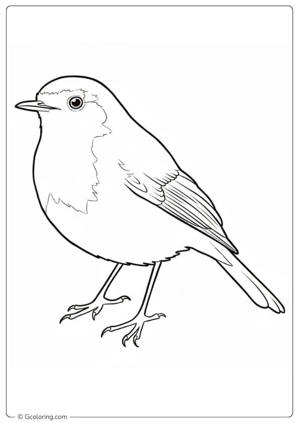 Minimalist Bird Robin Coloring Pages