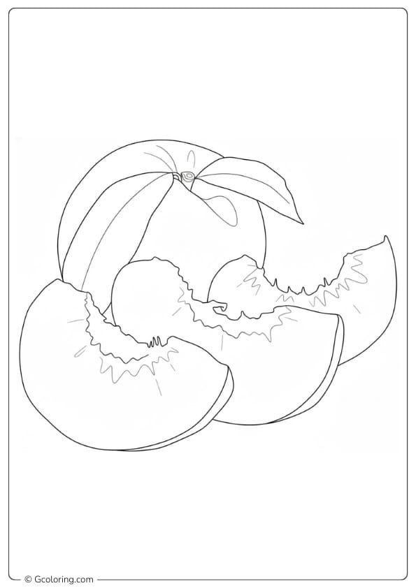 Peaches coloring page cracked peach with soft flesh detail
