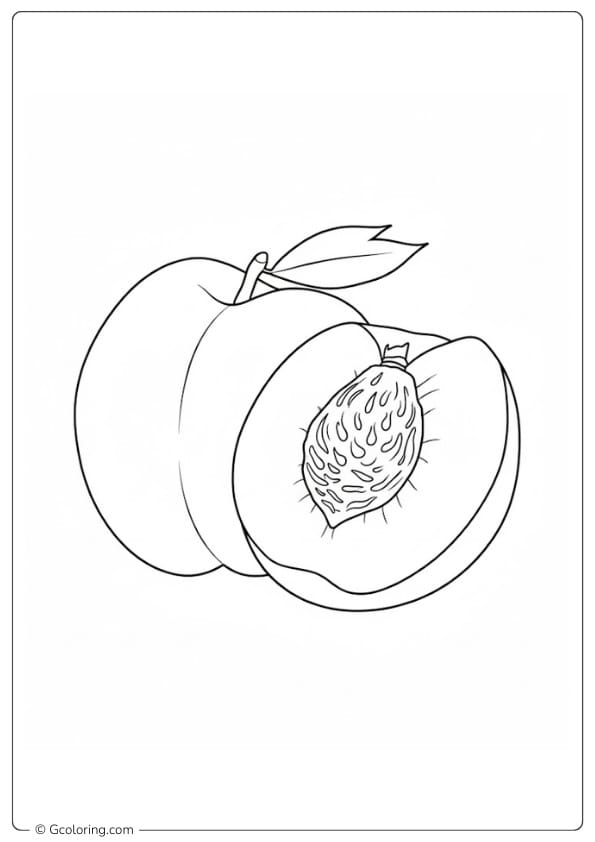 Peach coloring page half peach showing seed simple drawing