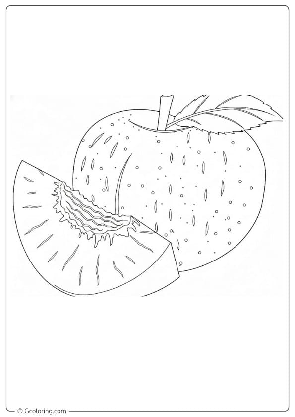 Peaches coloring page peach fruit with slice detailed outline