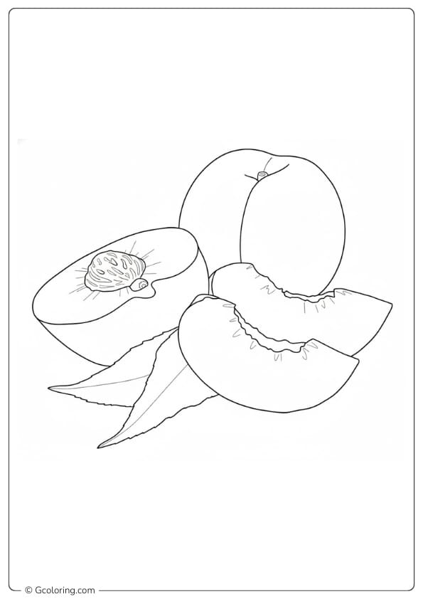 Peaches coloring page peach slices arrangement illustration