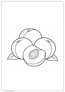 Peaches coloring page peach slices grouped together