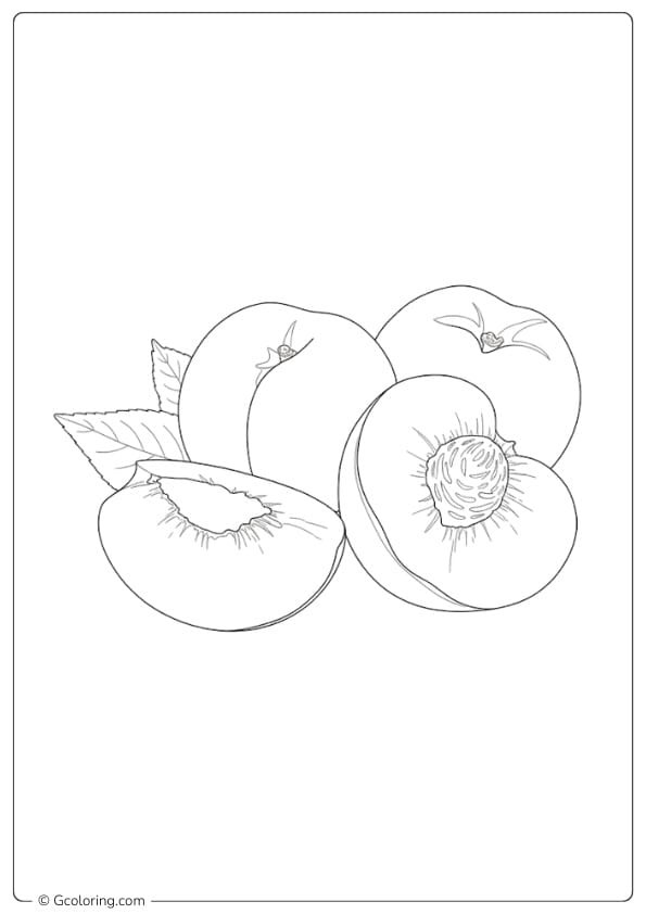 Peaches coloring page peaches with pit realistic style