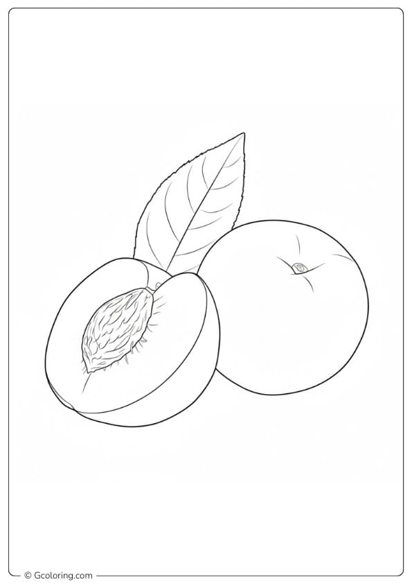 Peaches coloring page whole and half peach with leaf