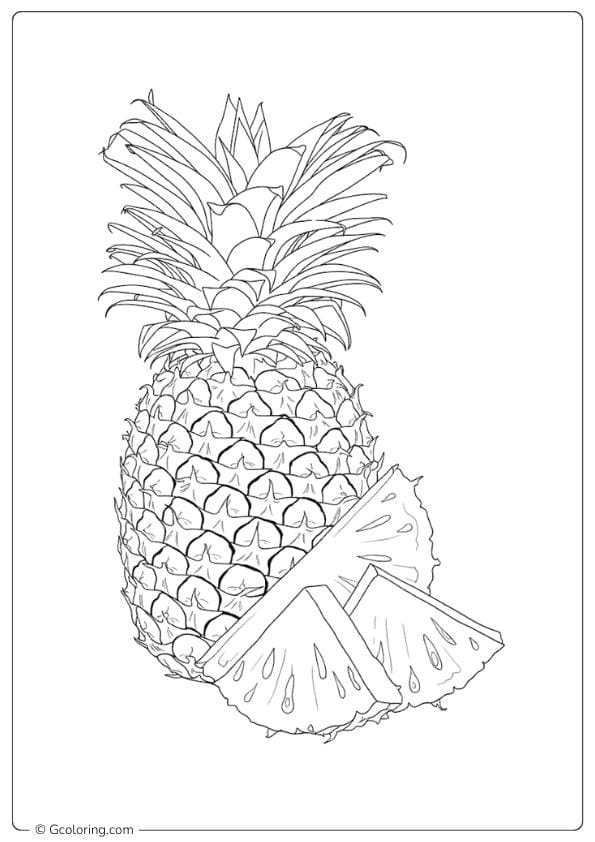 Pineapple coloring page realistic pineapple with slice