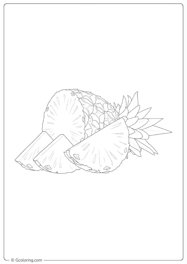 Pineapple coloring page sliced pineapple with leaves