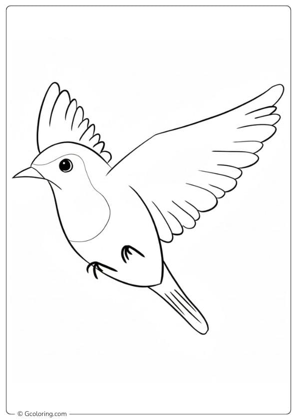 Simple Flying Robin Coloring Pages for Kids