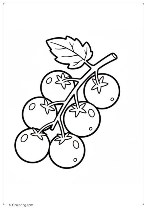 Tomato coloring page cherry tomatoes branch