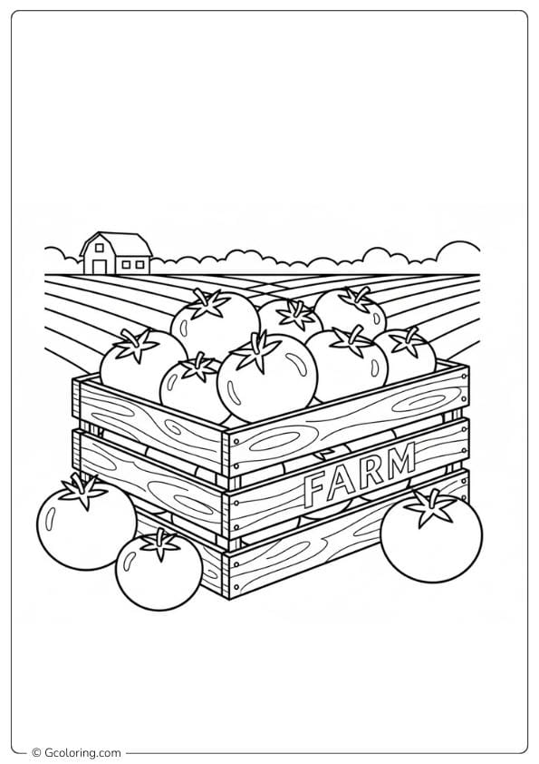 Tomato coloring page tomato crate farm style