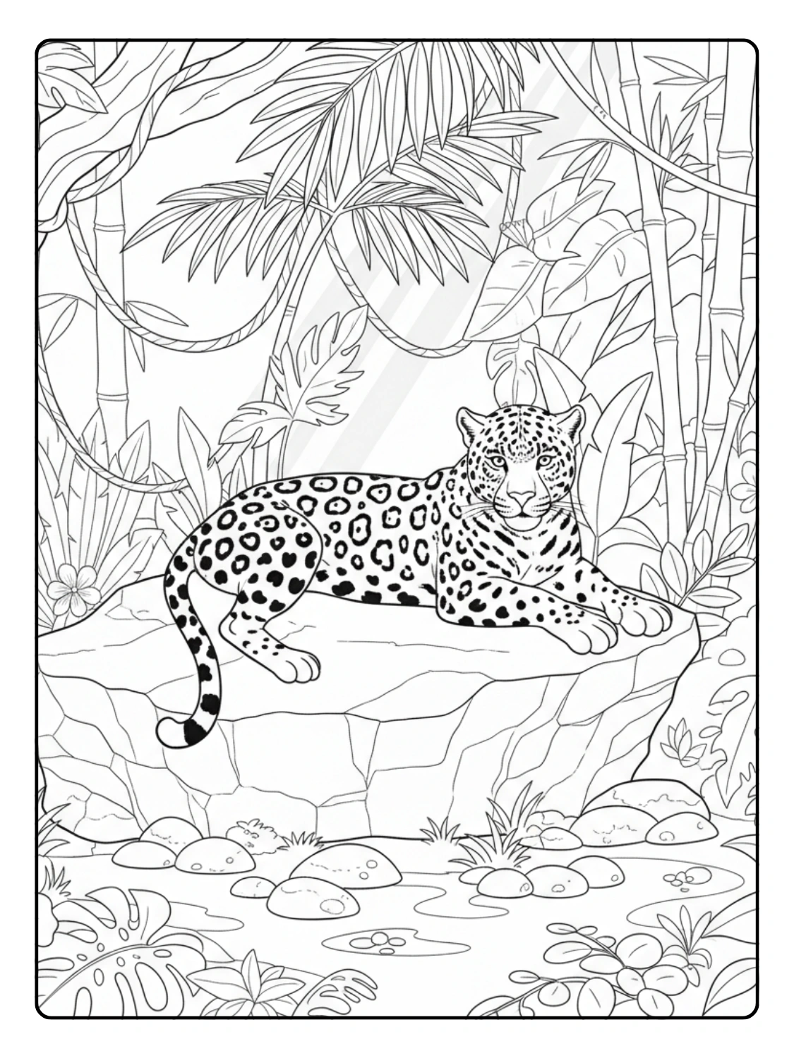 Jungle Animals Coloring Page Jaguar Lying on Rock